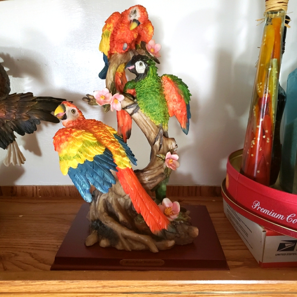 Parrot Decor